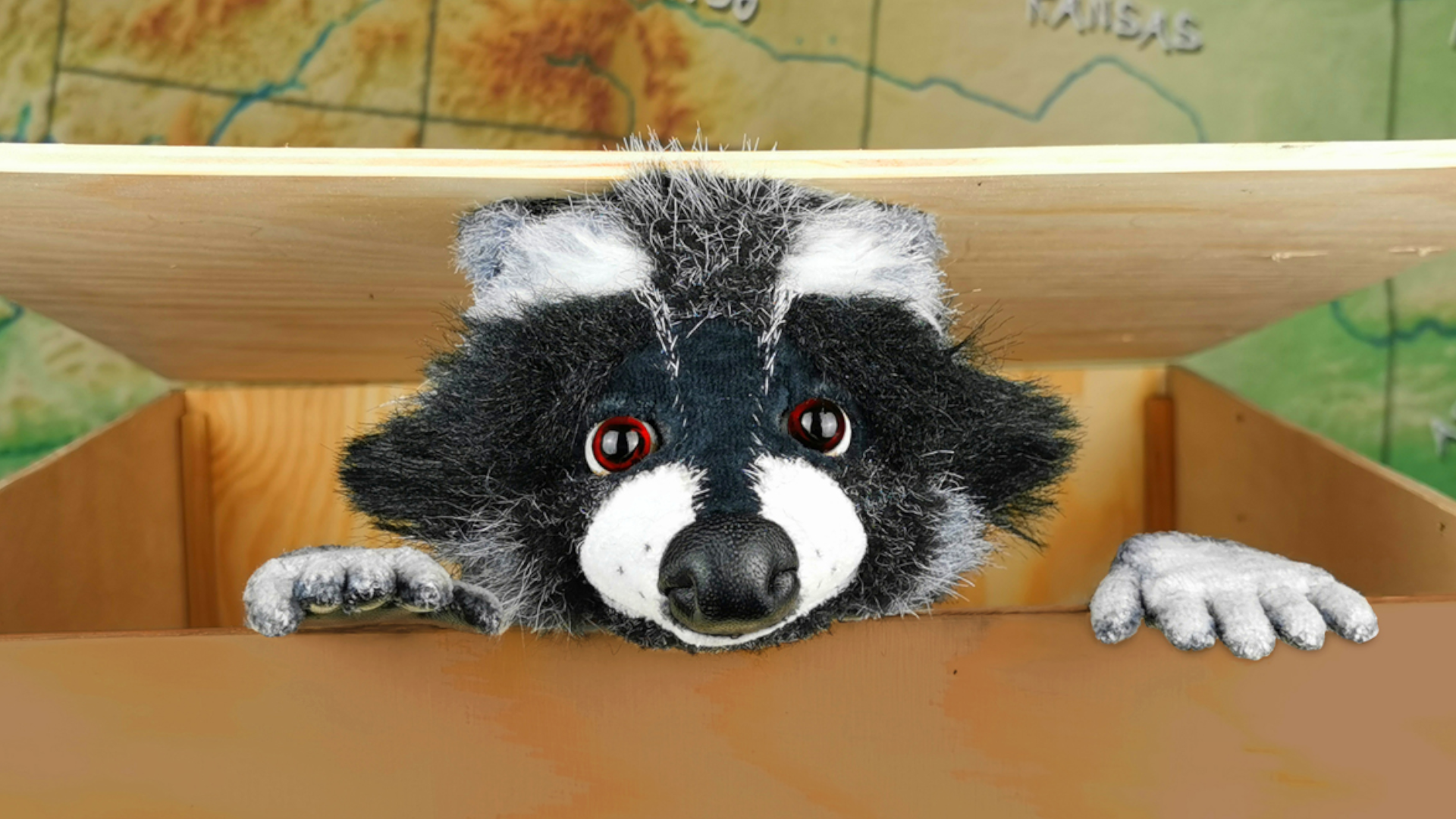 marotte figurentheater: Rocky Waschbär image