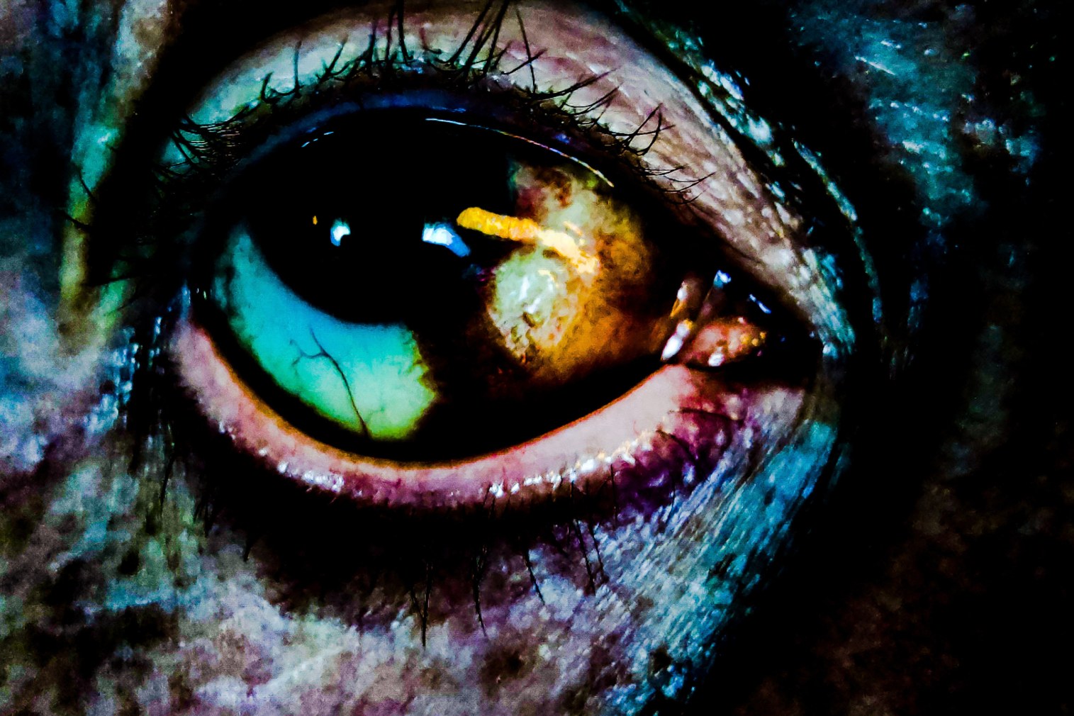 Improbus image