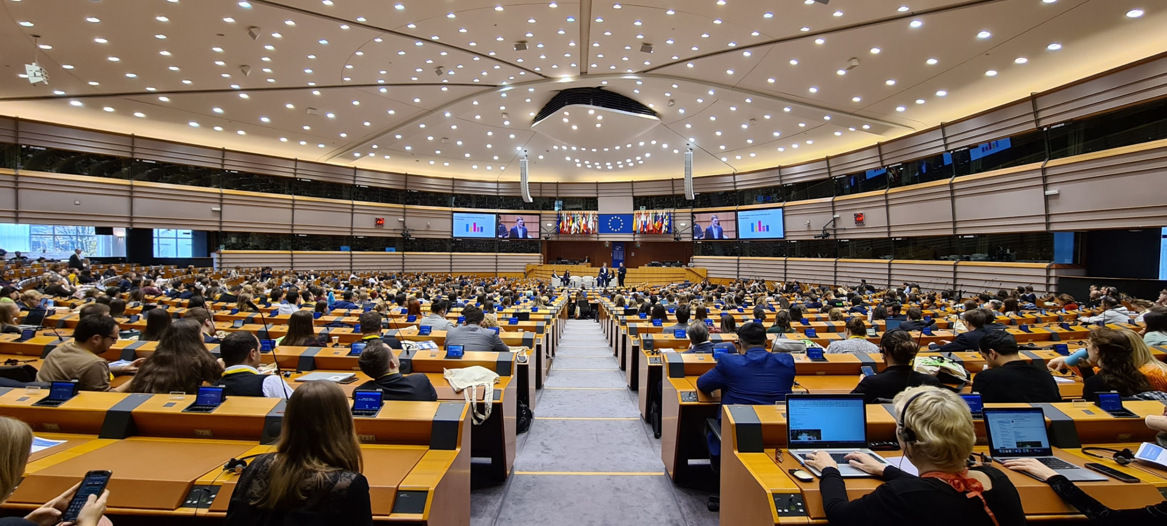 DAS FEST Teil der Closing Conference zum Europäischen Jahr der Jugend im Europäischen Parlament image
